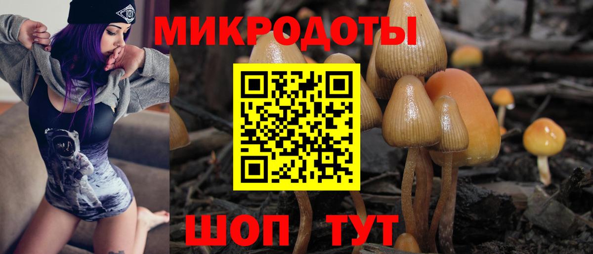 Галлюциногенные грибы Psilocybine cubensis  Галлюциногенные грибы Psilocybe  наркошоп  Электрогорск  Вход с VPN 